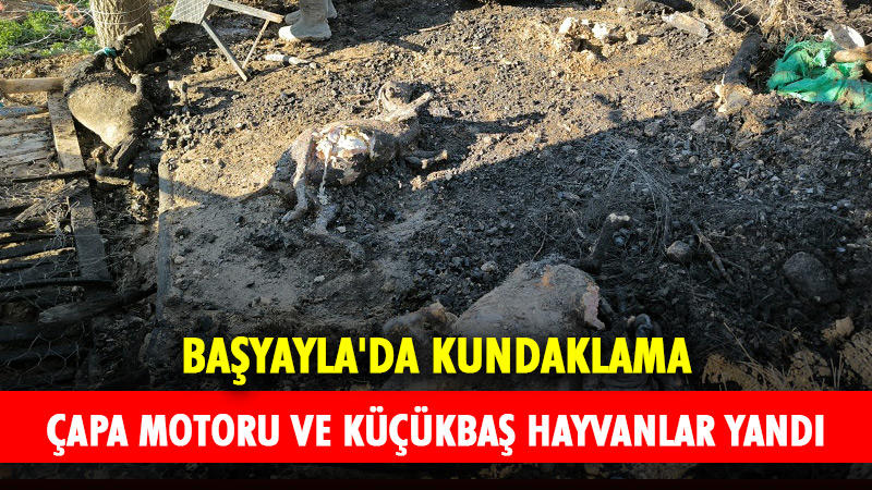 Karaman’ın Başyayla ilçesine bağlı Üzümlü köyünde dün gece meydana gelen